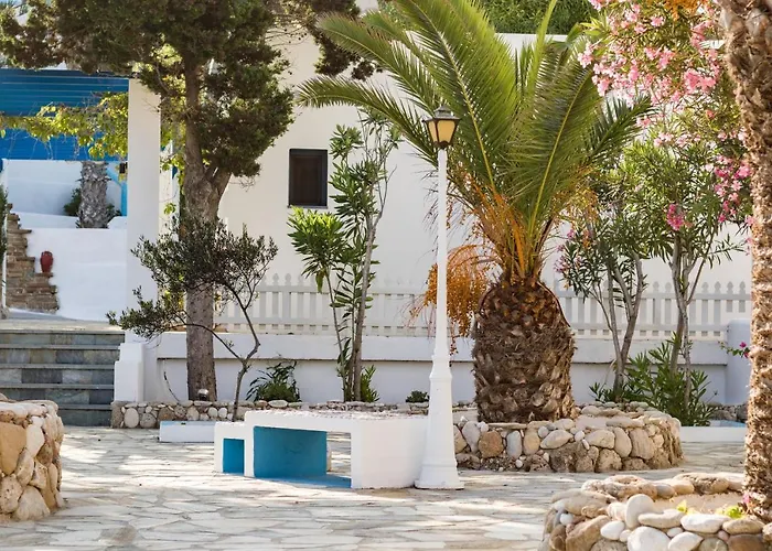 Summer Breeze أركاسا